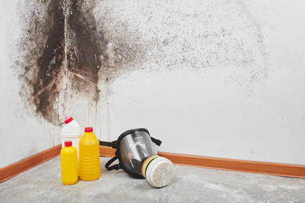 Mold Testing and Removal in Lititz, PA